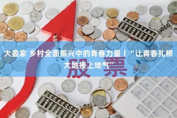 大盈家 乡村全面振兴中的青春力量丨“让青春扎根大地接上地气”