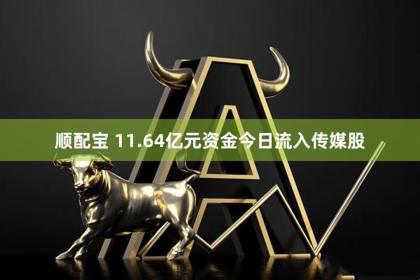 顺配宝 11.64亿元资金今日流入传媒股