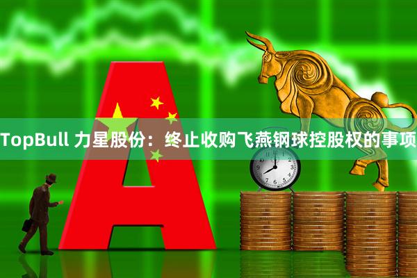 TopBull 力星股份：终止收购飞燕钢球控股权的事项