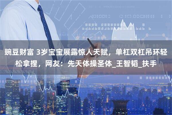 豌豆财富 3岁宝宝展露惊人天赋，单杠双杠吊环轻松拿捏，网友：先天体操圣体_王智韬_扶手